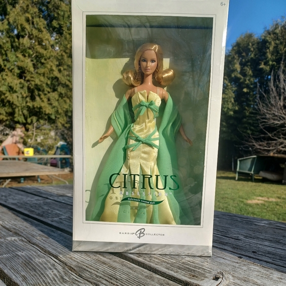 Mattel Other - BARBIE Citrus Obsession